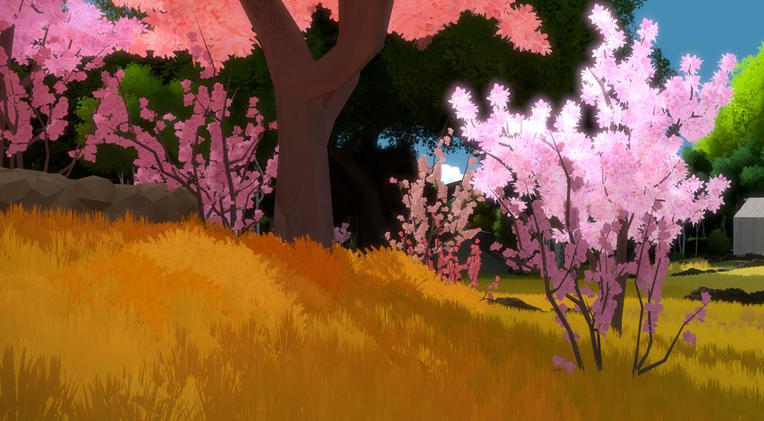 Meet the voice cast for Jonathan Blow’s PS4 adventure The Witness