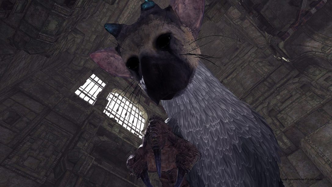 Experience The Last Guardian VR Demo on PlayStation VR