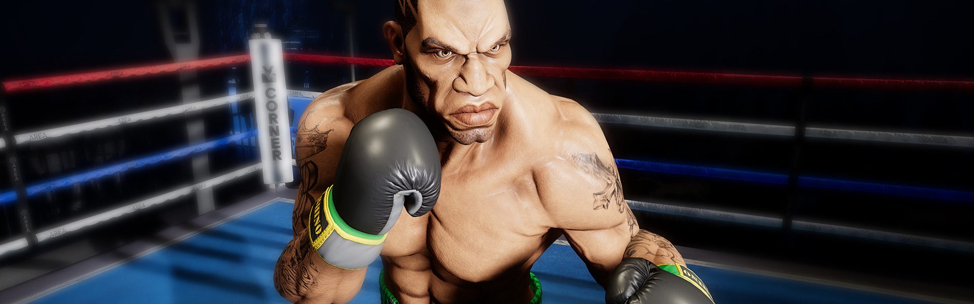 boxing vr ps4