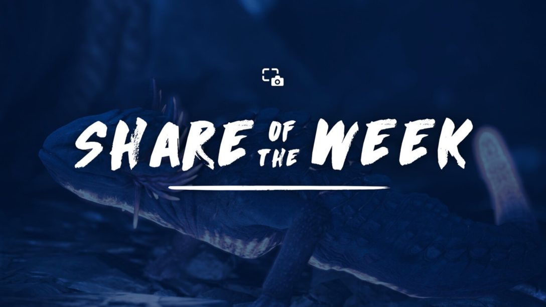 Share of the Week: Animals