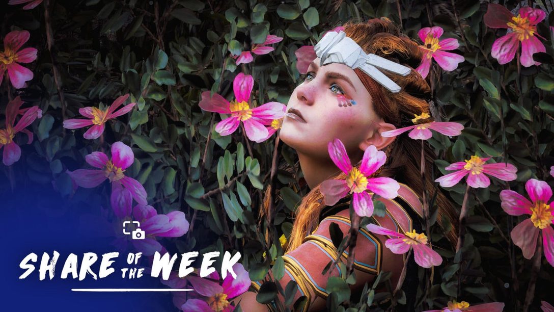 Share of the Week – In Bloom