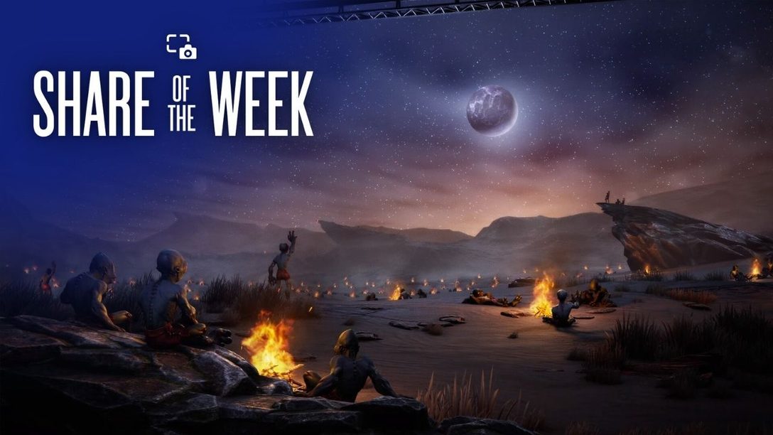 Share of the Week: Moonlight