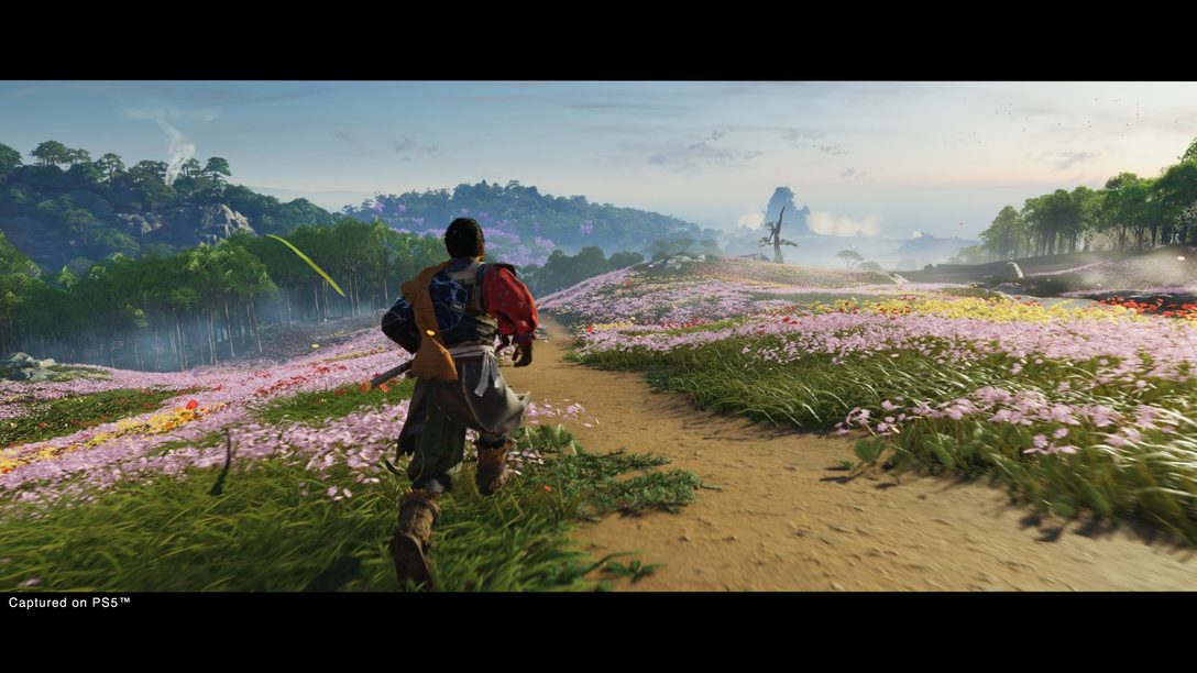 Jogo Ghost of Tsushima Versão Diretor - PS4: OFERTA