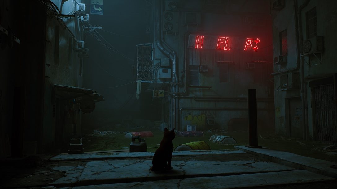 An in-depth look into the mysterious, futuristic world of Stray