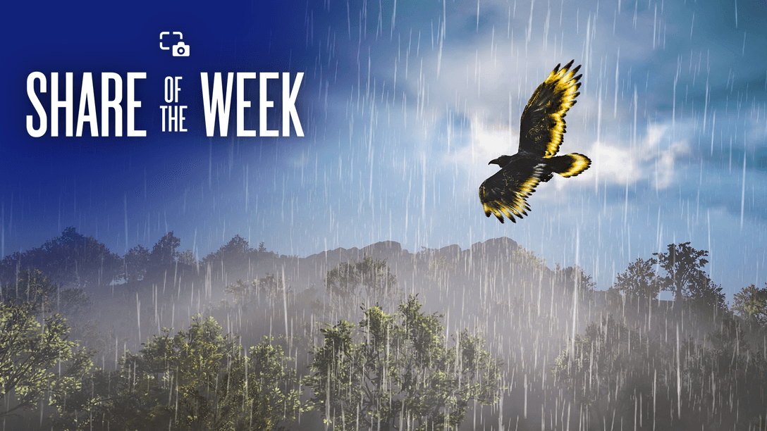 Share of the Week: Rain