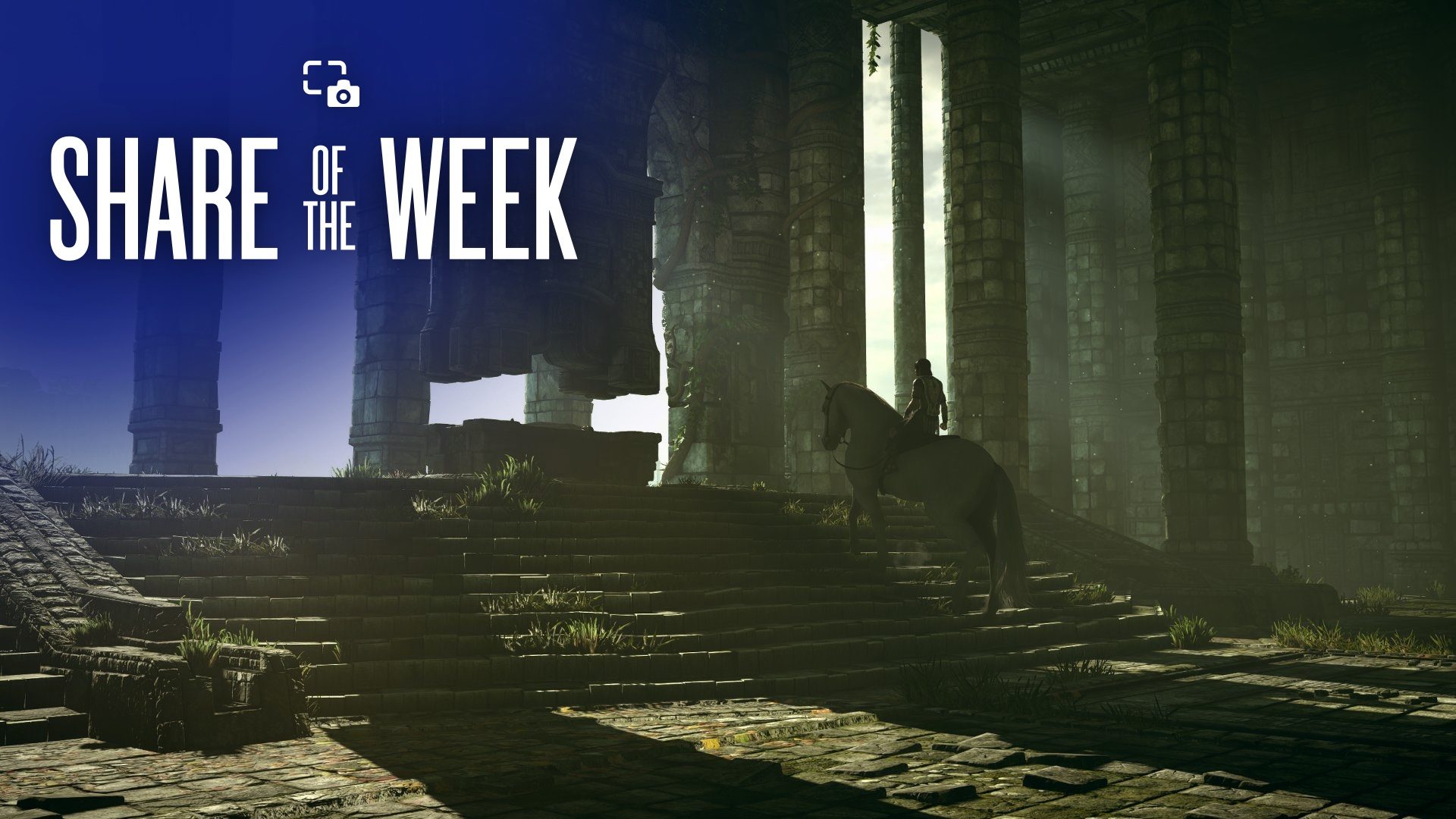 Share Of The Week: Sanctuary thumbnail