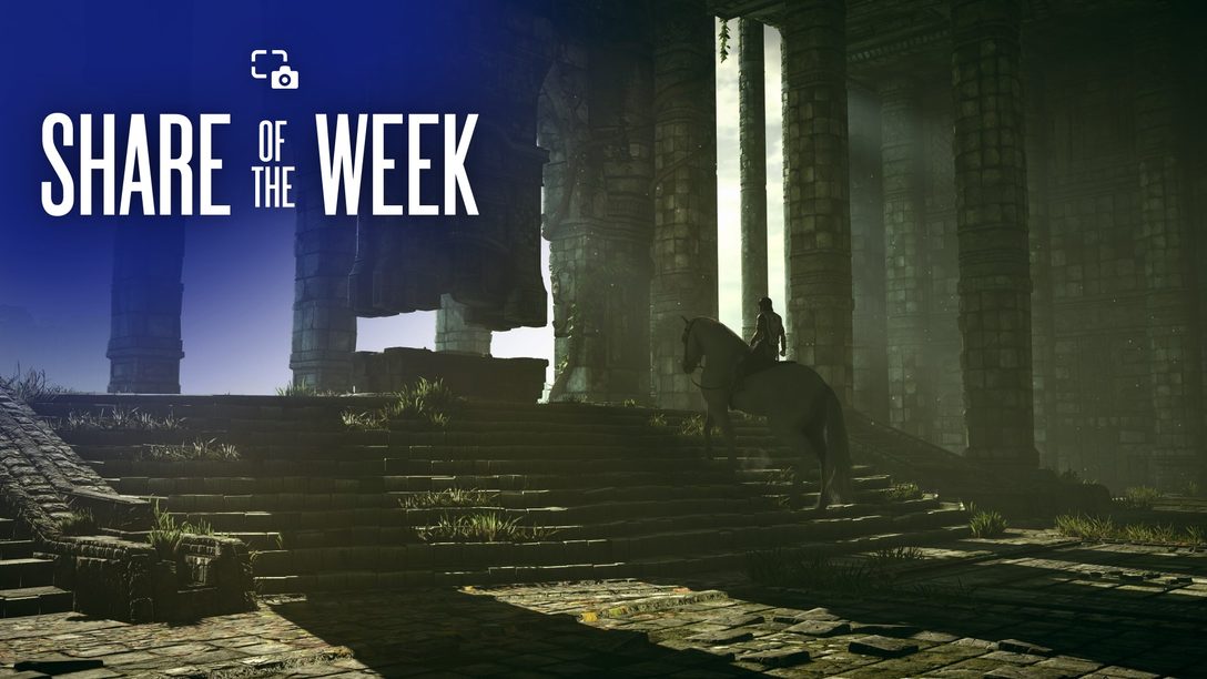Share of the Week: Sanctuary