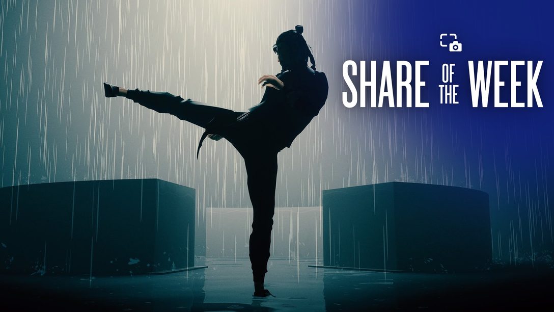 Share of the Week: Sifu