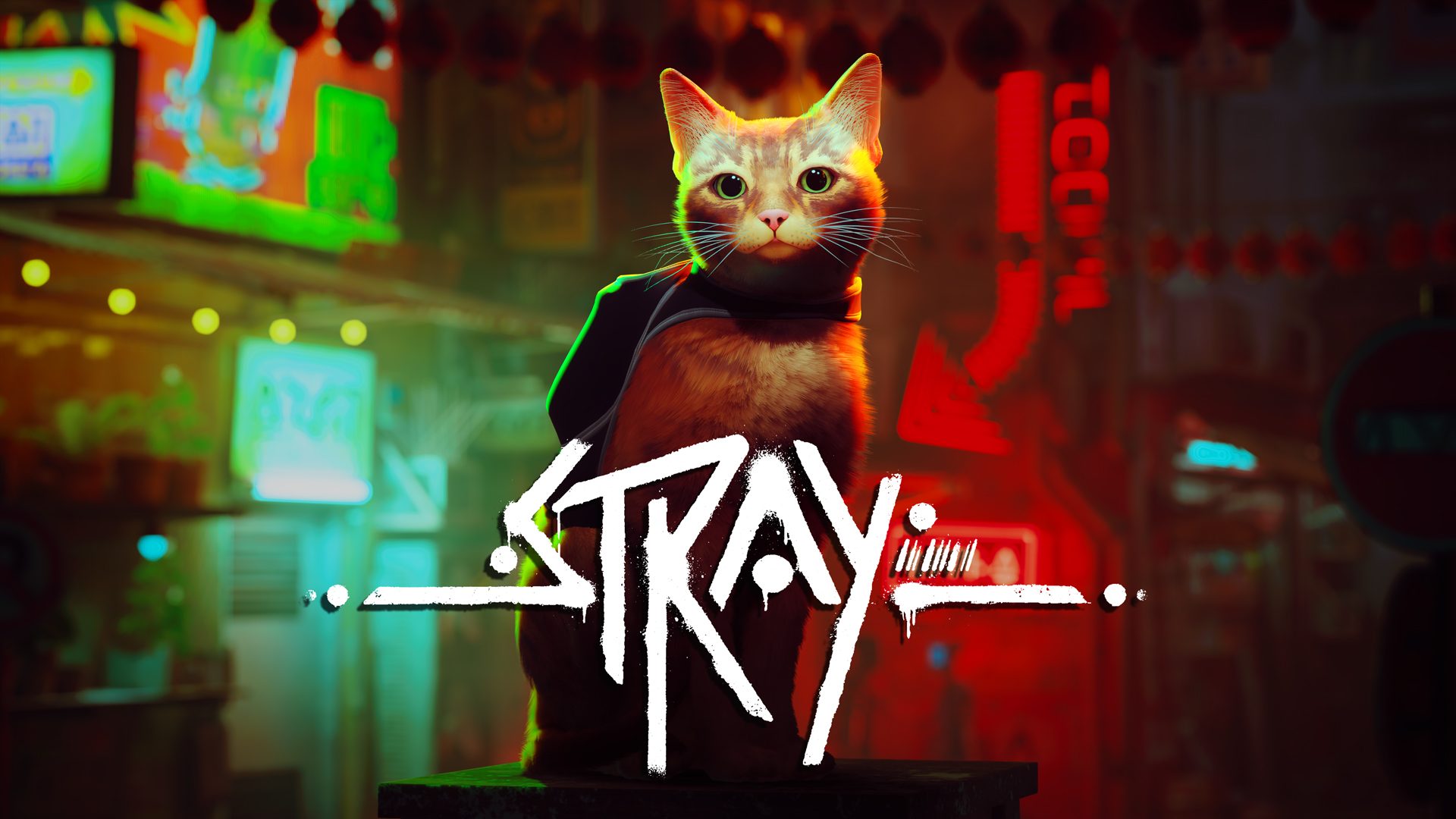 STRAY PS5 physical edition launches September 20 - Gematsu