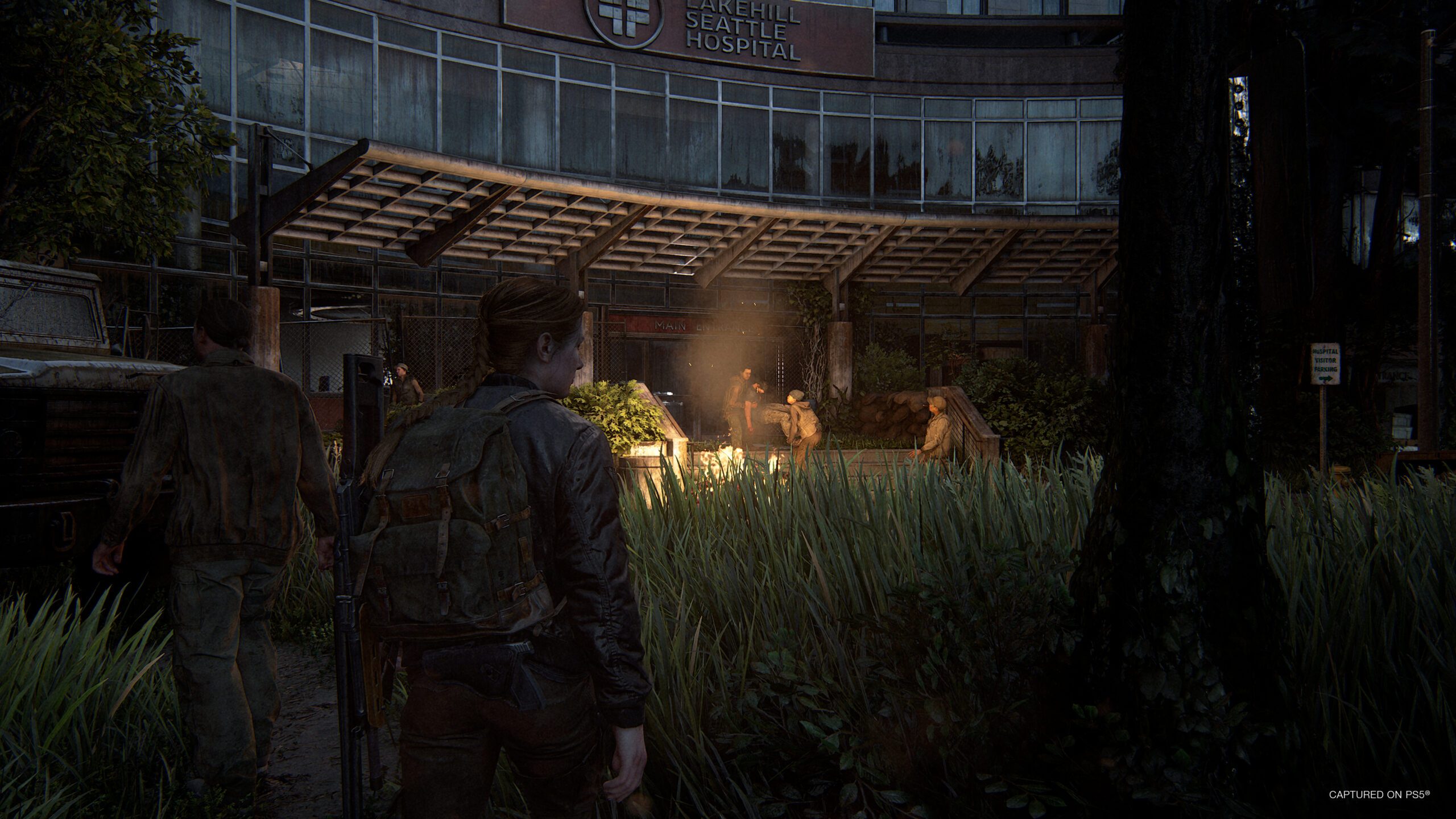 The last of us store 2 psn