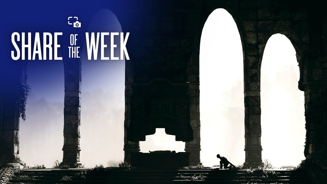 Share of the Week: Afterlife