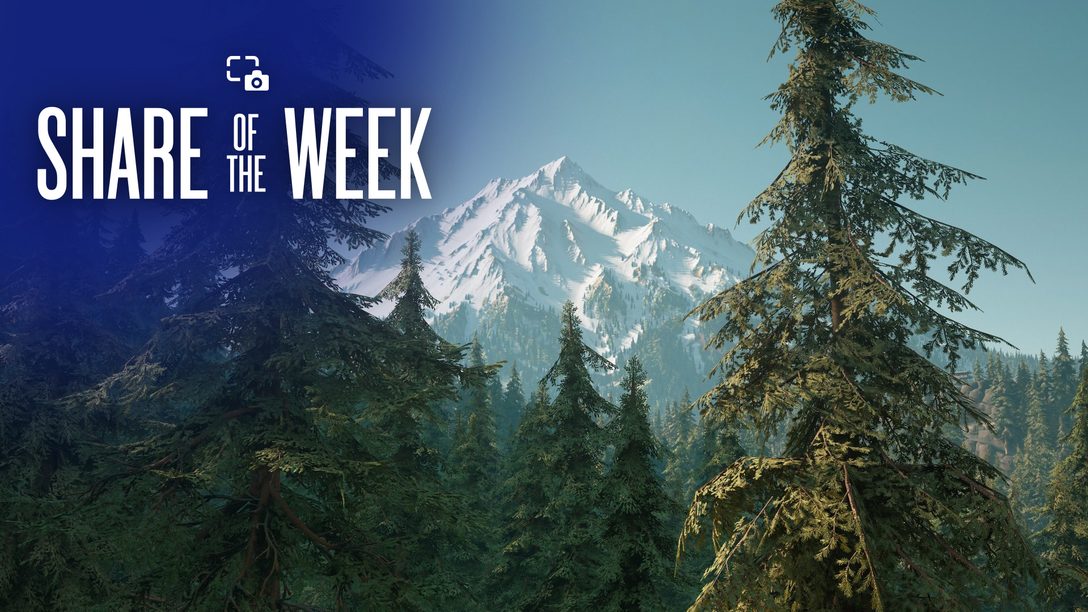 Share of the Week: Days Gone Remastered – Landscapes