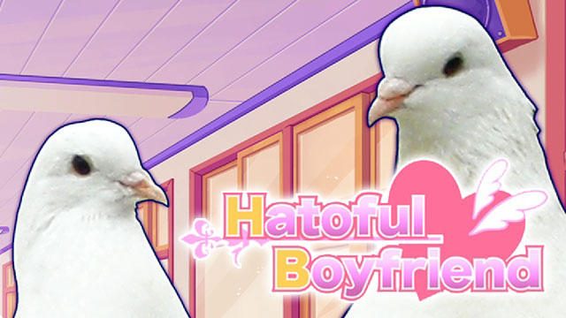 鳥と女子高生が大恋愛! 人類には早すぎる乙女ゲー『はーとふる彼氏』をレポート