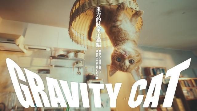 世界最高峰!「カンヌライオンズ 2017」で『GRAVITY DAZE 2』の「重力猫」PVが”Gold Lion”他7つの賞を受賞!