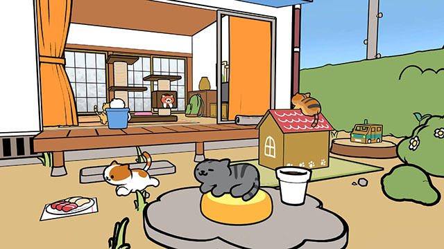 PS VR対応『ねこあつめ VR』が本日配信! 毎日のちょっとした時間に気ままなねこたちを眺めてみませんか?