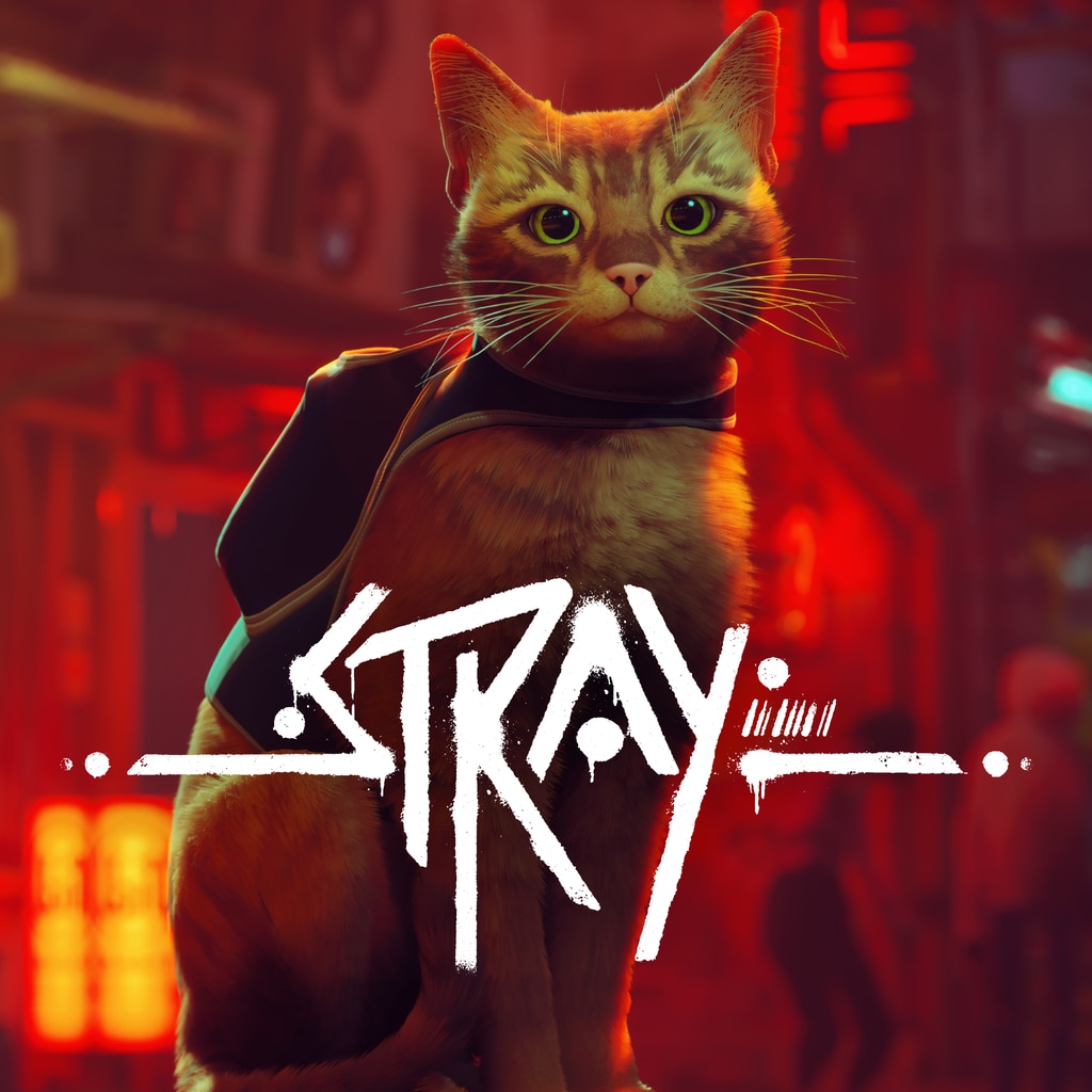 Conheça o protagonista felino de Stray, com lançamento em 19 de julho –  PlayStation.Blog BR